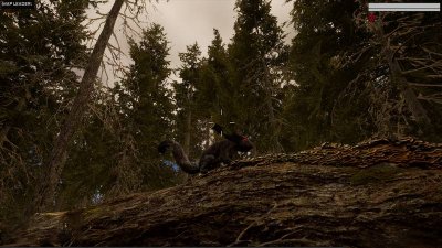 Squirrelmageddon